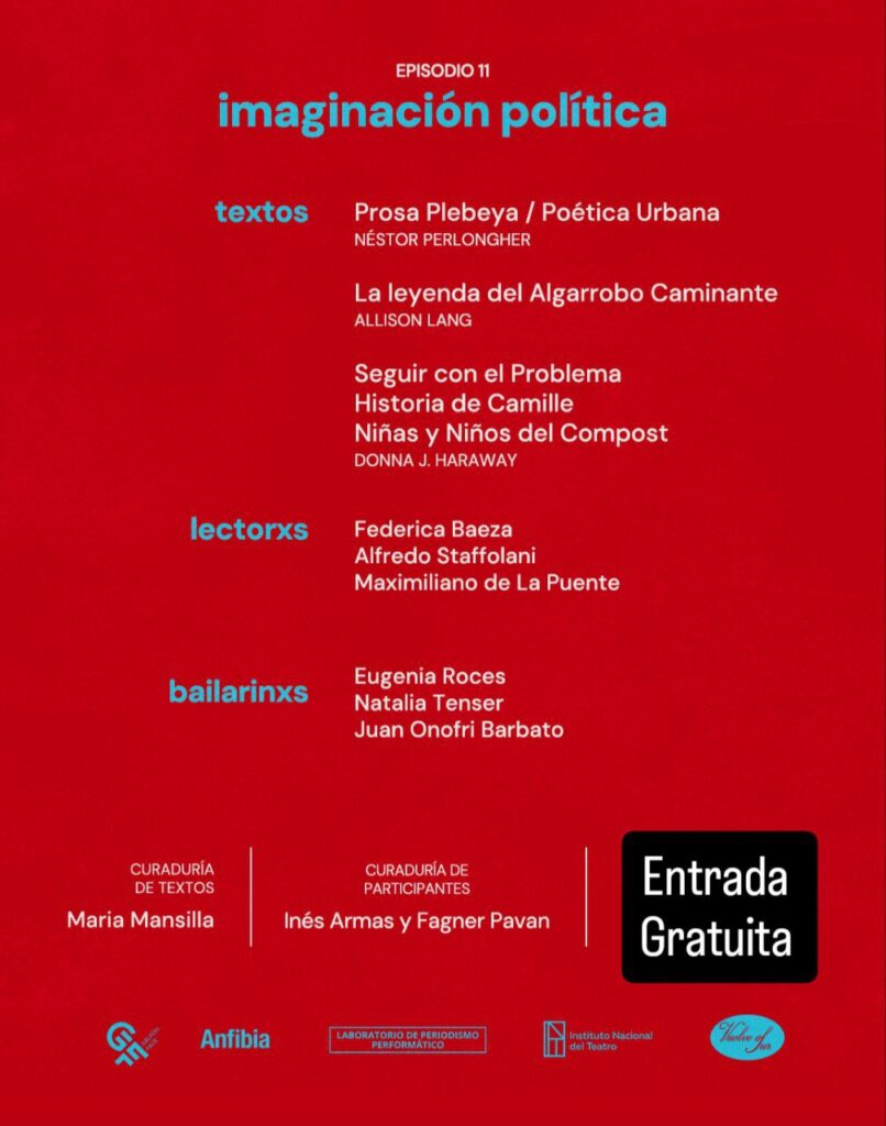 Imaginacion politica